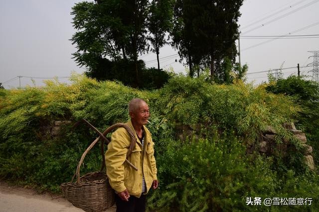 行走在徐州茅村镇腰里村，寻找当年茅村乾隆行宫的遗迹